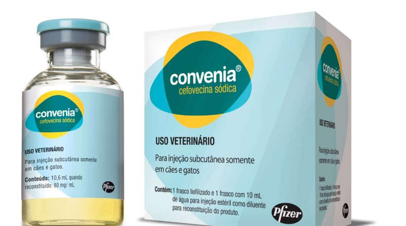 Коли допомагає Конвенія — антибіотик для собак та котів