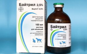 При небезпечних інфекціях допоможе Байтріл для котів.