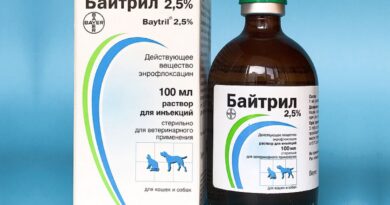 При небезпечних інфекціях допоможе Байтріл для котів