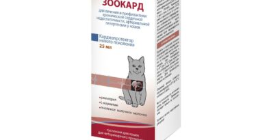 Серцю допоможе Зоокард для котів