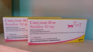 Синулокс (Сінулокс) для кішок — антибіотик №1.