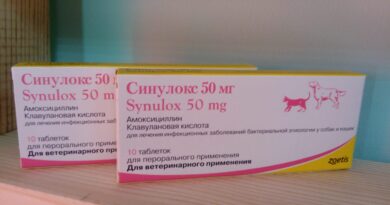 Sinulox ar gyfer cathod yw'r gwrthfiotig #1