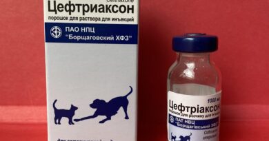 Цефтріаксон для котів — сучасний антибіотик