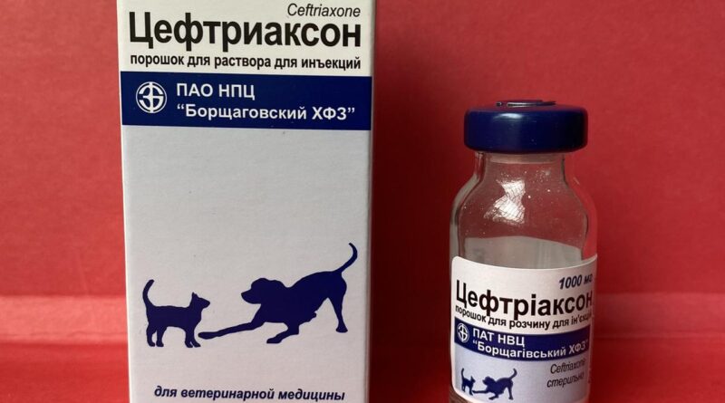 Цефтріаксон для котів — сучасний антибіотик