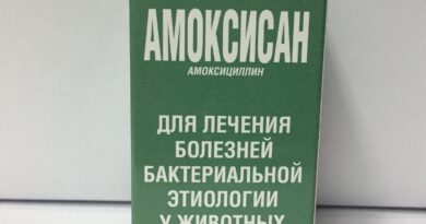 Як застосовувати Амоксисан для котів правильно
