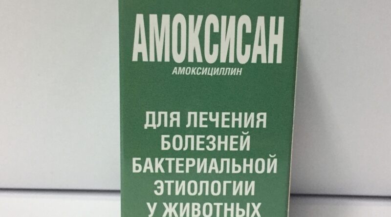 Як застосовувати Амоксисан для котів правильно