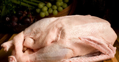 Чи можна давати м'ясо качки собакам та в якій кількості