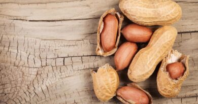 Чи можна собакам давати арахіс