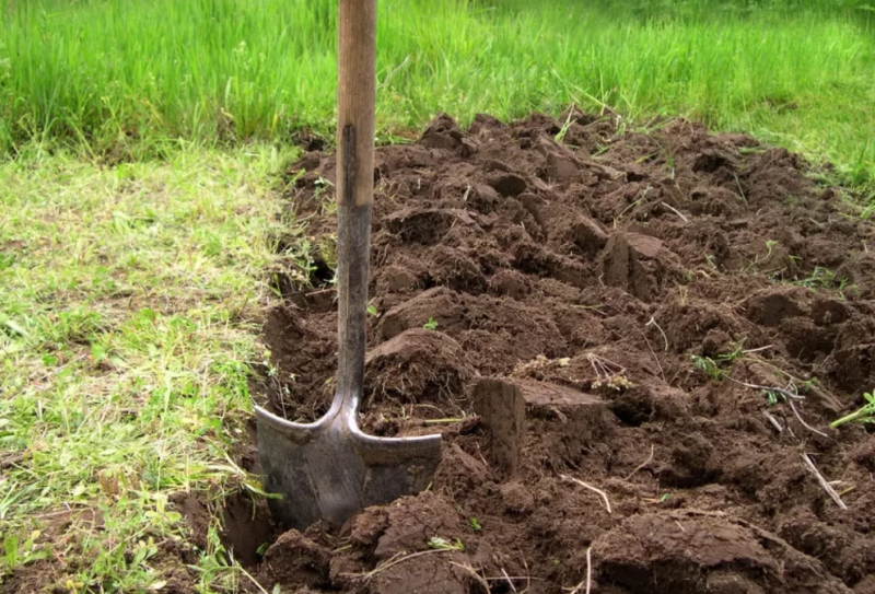 Крок 3. Підготовка землі