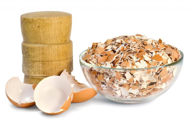 Підживлення розсади яєчною шкаралупою