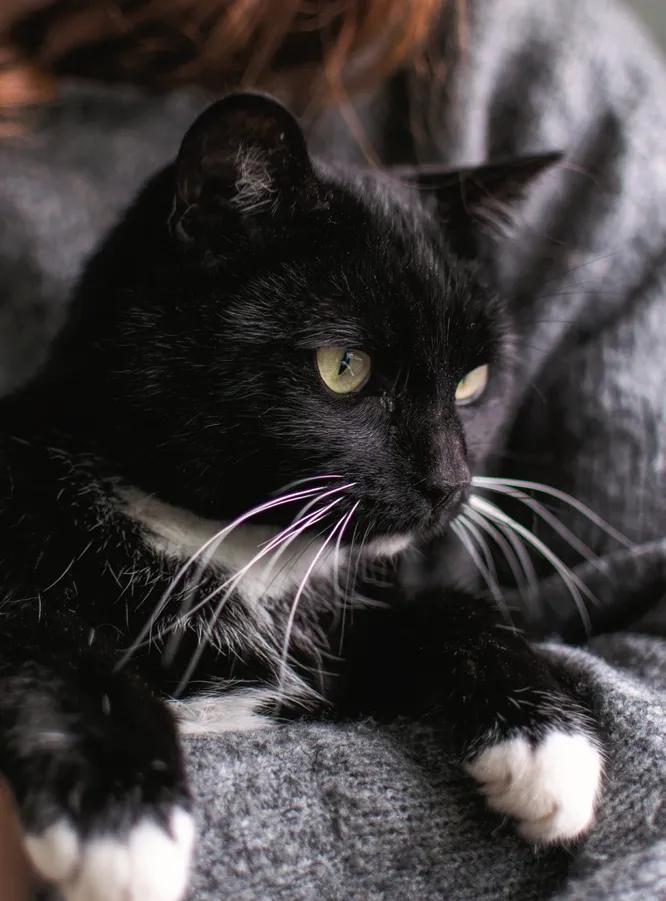 Аптечка першої допомоги