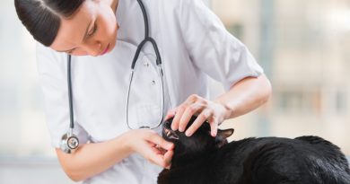 Чи дійсно небезпечний зубний камінь