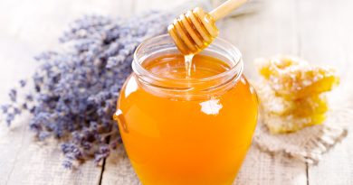 Чи можна собакам мед