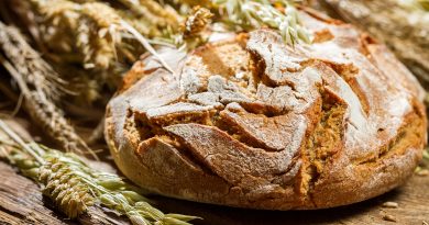 Чи можна собаці давати хліб