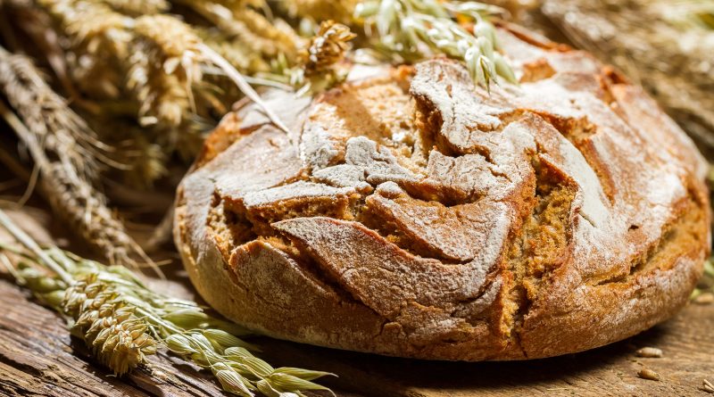 Чи можна собаці давати хліб