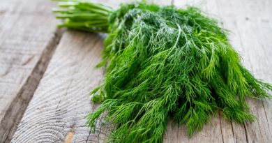 Чи можна собаці кріп