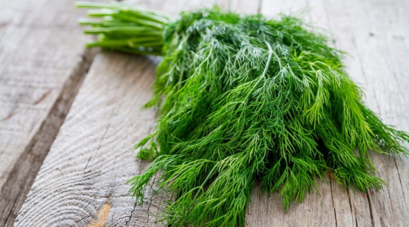 Чи можна собаці кріп