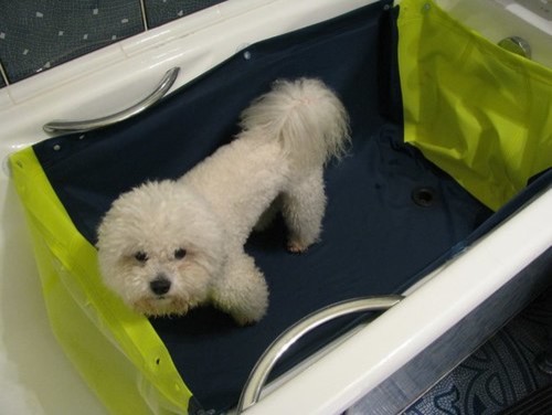 Альтернатива — вкладиш у ванну для миття собак