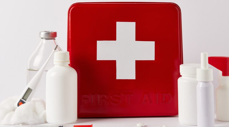 Erste-Hilfe-Kasten für ein Haustier: Was sollte drin sein