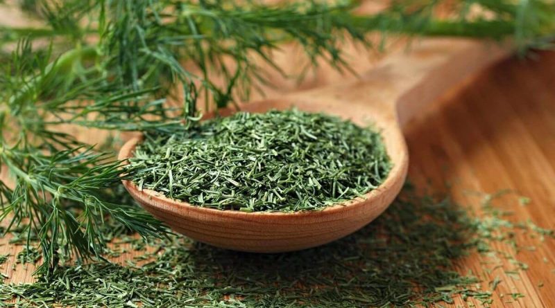 Чи можна годувати кропом кішок