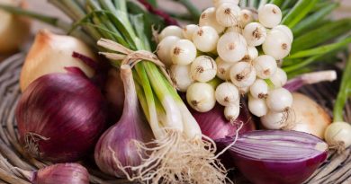 Чи варто кішку годувати цибулею