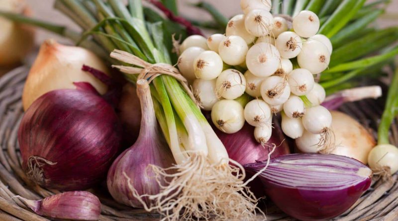 Чи варто кішку годувати цибулею