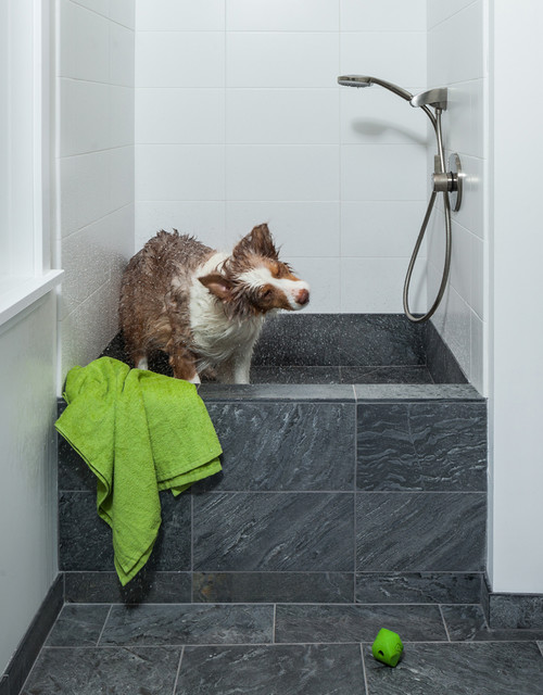 Дати можливість собаці обтруситись після душу