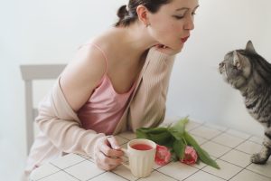 Гази у кішок та собак: у чому причини, як лікувати?