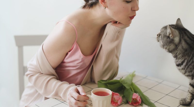 Гази у кішок та собак: у чому причини, як лікувати