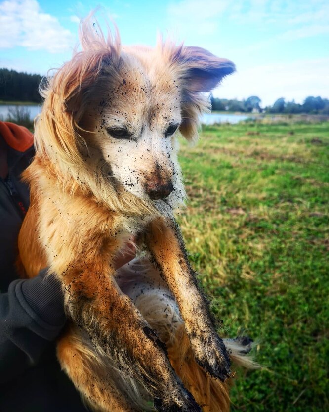 Обійдіть бруд, підходячи до будинку