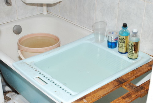 Миття собаки у ванній кімнаті