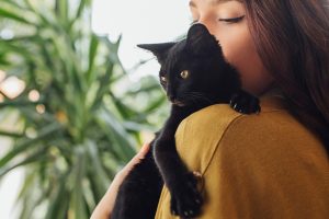 Погладьте лікаря: чи може кіт вилікувати свою людину?