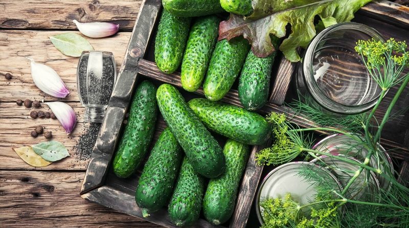 Що буде, якщо кішка з'їсть шматочок огірка