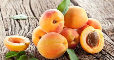 А чи взагалі можна собаці абрикоси