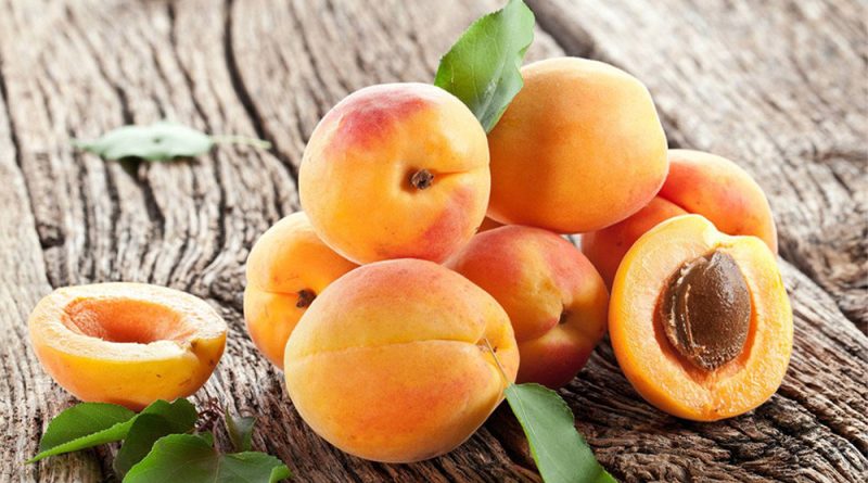 А чи взагалі можна собаці абрикоси