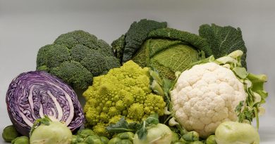 Чи можна кішкам давати / їсти капусту