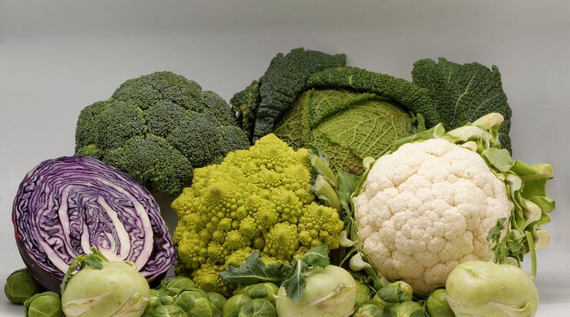 Чи можна кішкам давати / їсти капусту