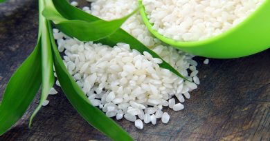 Чи можна рис собаці