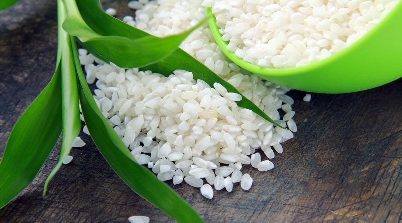 Чи можна рис собаці