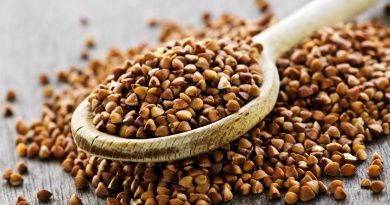 Чи можна собакам давати гречку