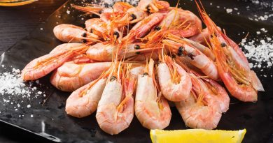 Чи можна собакам креветки так само, як людям