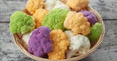 Чи можна собаці давати цвітну капусту