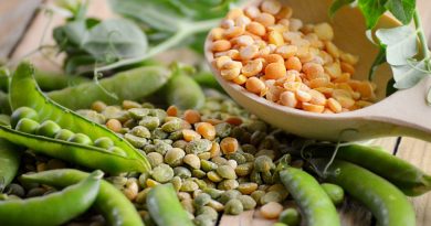 Далеко не завжди собакам можна давати горох