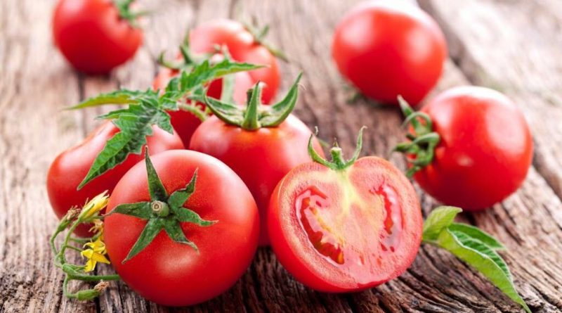 Давайте поміркуємо, чи можна собаці помідори