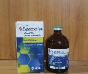 Енроксіл / Енроксил (Enroxil) для собак: інструкція із застосування.