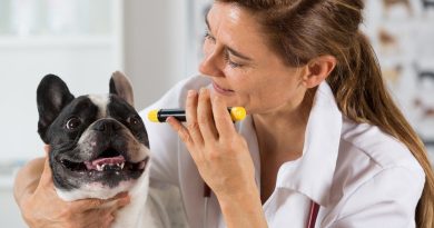 Хвороба Ауєскі — симптоми та лікування небезпечного захворювання