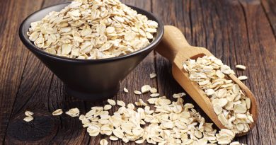 Коли можна собаці давати вівсяну кашу (Геркулес / Вівсянка)