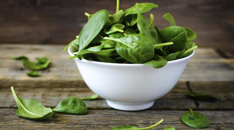 Не сумнівайтесь, собаці можна шпинат