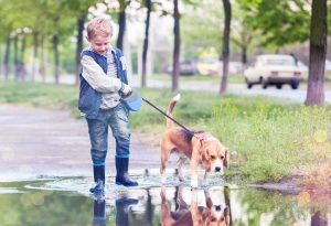 Швидко і просто привчаємо цуценя ходити в туалет на вулицю.