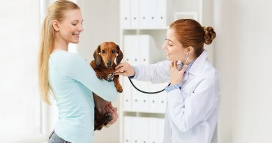 Симптоми інфаркту у собак